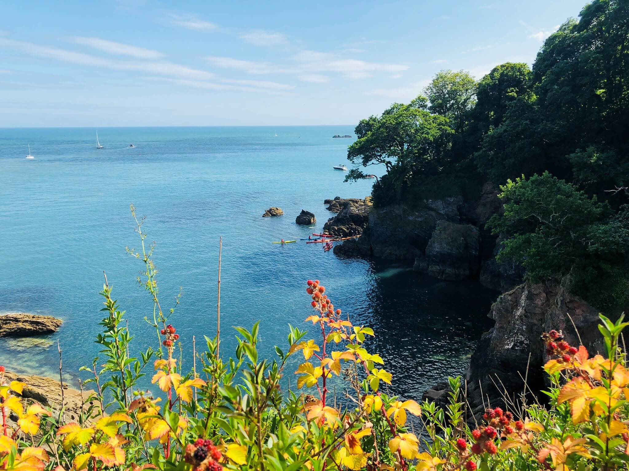 How to Spend 5 Days in Devon - Plumlocations